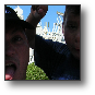 DSCN1947.JPG